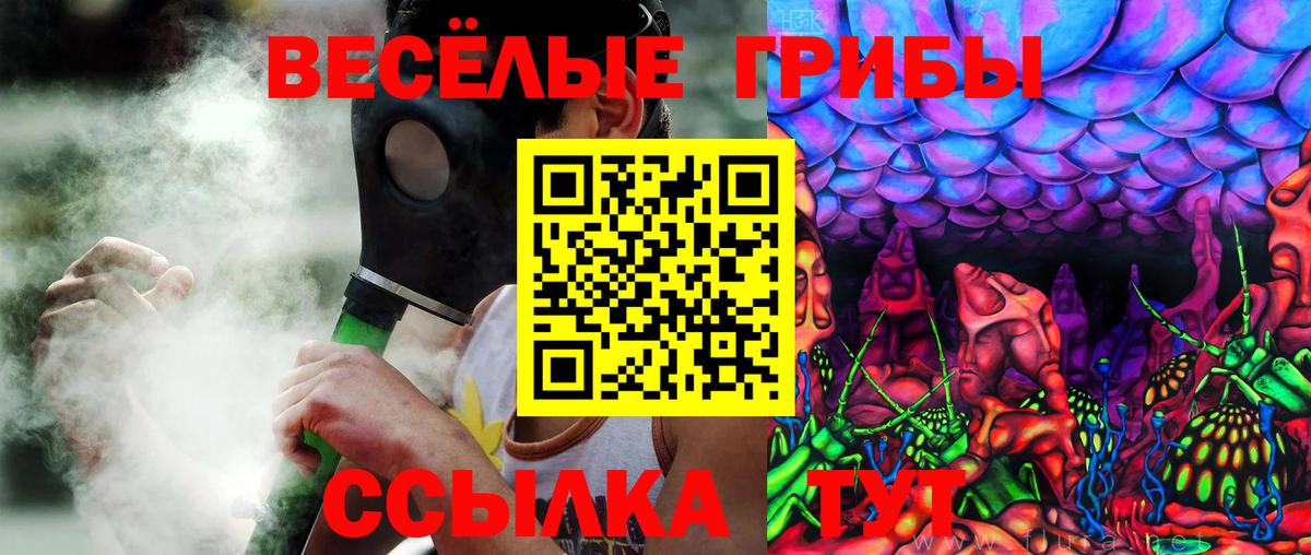 Псилоцибиновые грибы мицелий  Галлюциногенные грибы GOLDEN TEACHER  Карачаевск  Вход с VPN 
