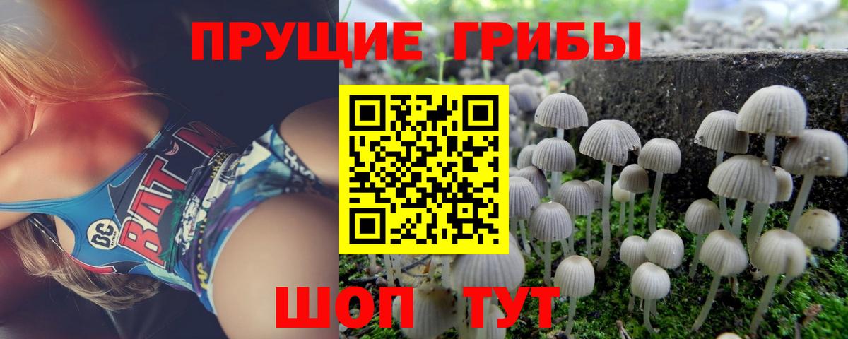 Галлюциногенные грибы Cubensis Карачаевск